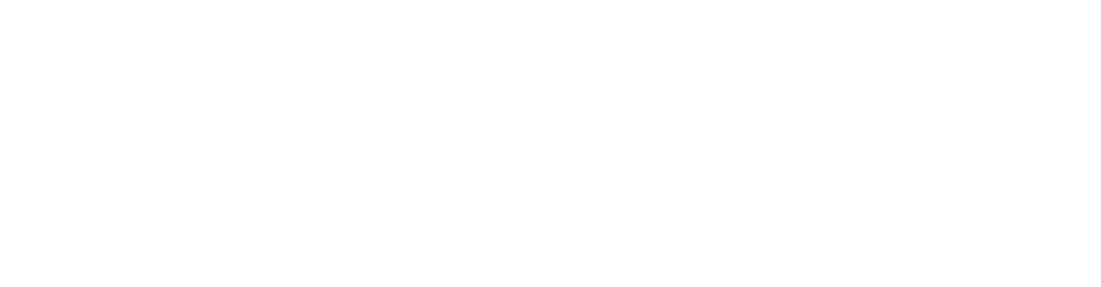Logo Establishment Labs
